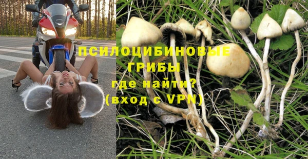 мяу мяу мука Белокуриха